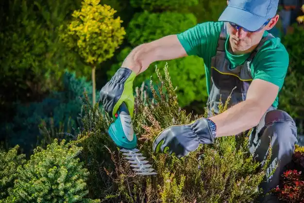 landscaping services South Glens Falls